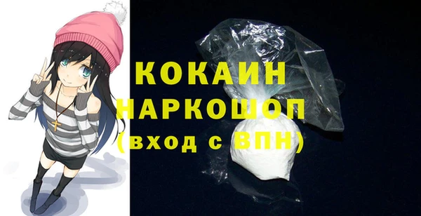 молекула духа Богородицк