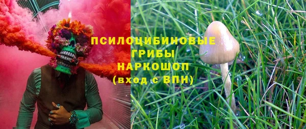 винт Богданович