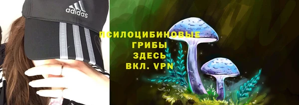 дурь Армянск