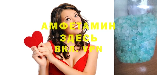 молекула духа Богородицк