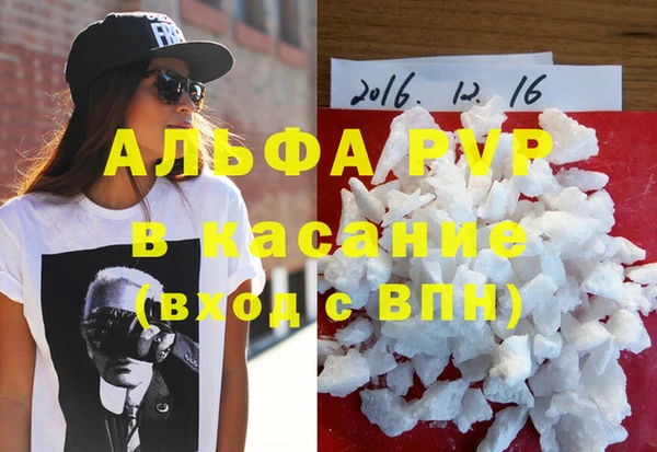 прущие грибы Арсеньев