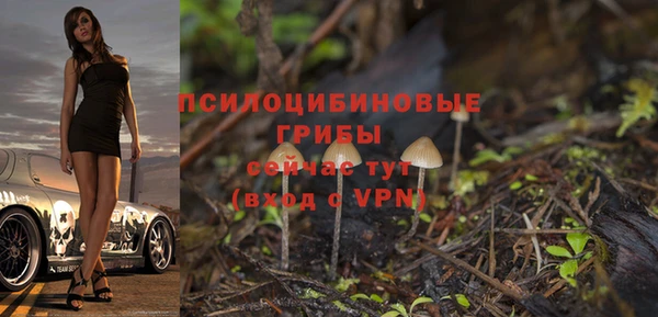 дурь Армянск