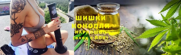 МДПВ Богородск