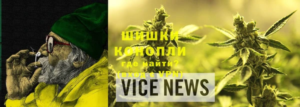 прущие грибы Арсеньев