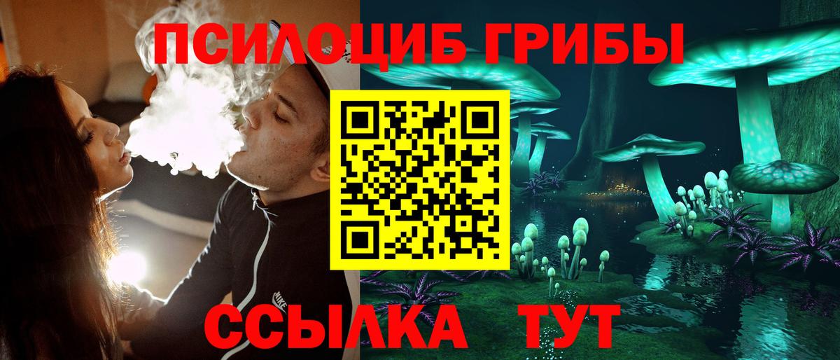 Галлюциногенные грибы прущие грибы Строитель