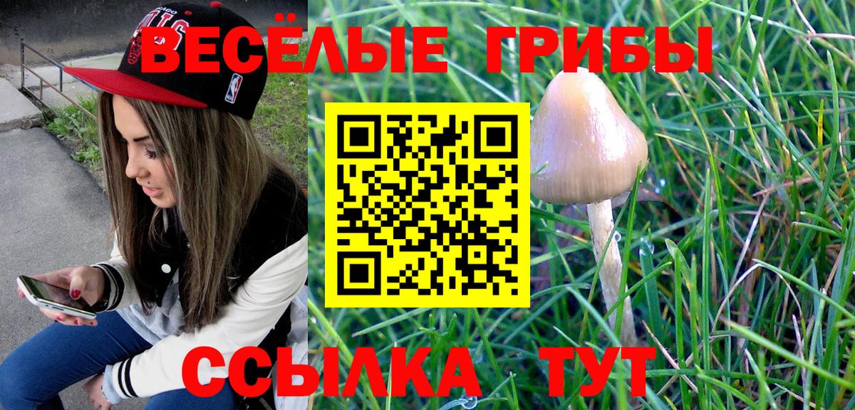 Псилоцибиновые грибы Psilocybe  Вход с VPN  Строитель 